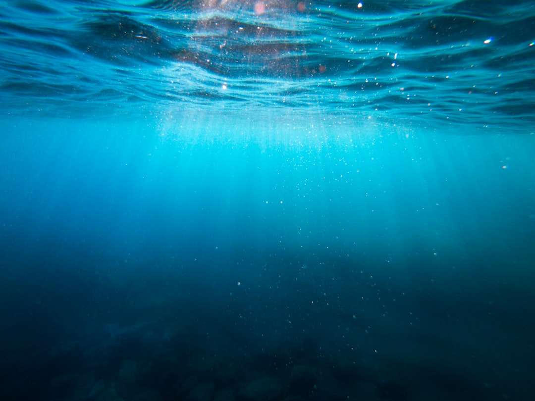 Exploring the Beauty of Vortex Springs